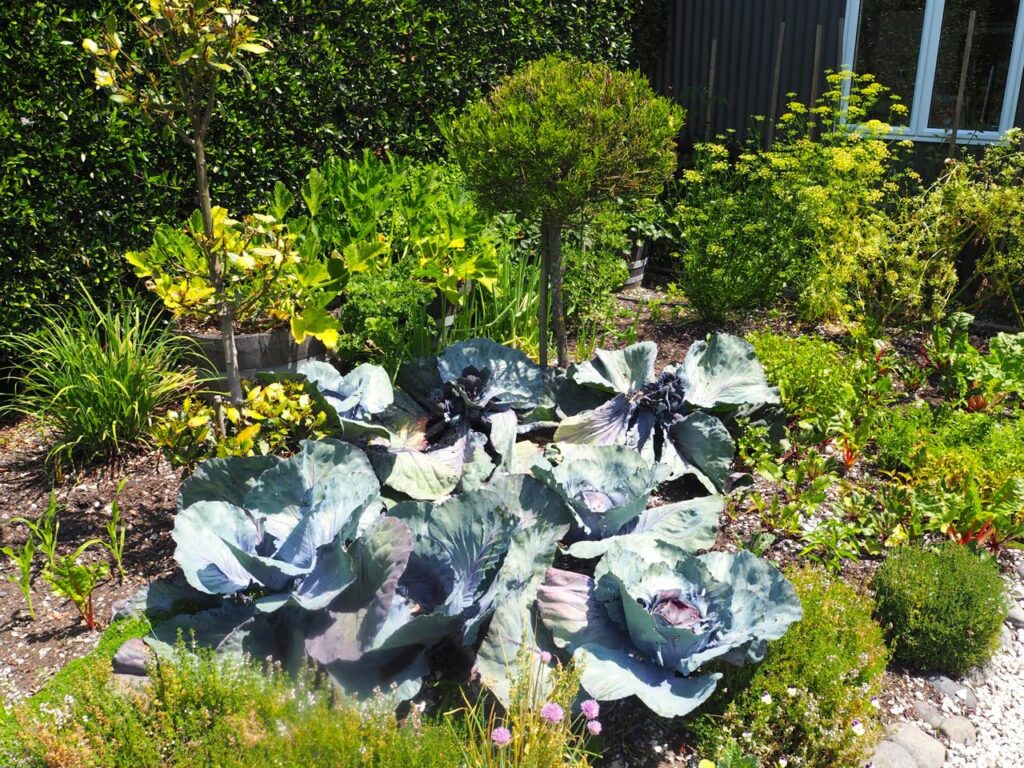 674898ff28b30c8b560bf1a5 1590842426 411