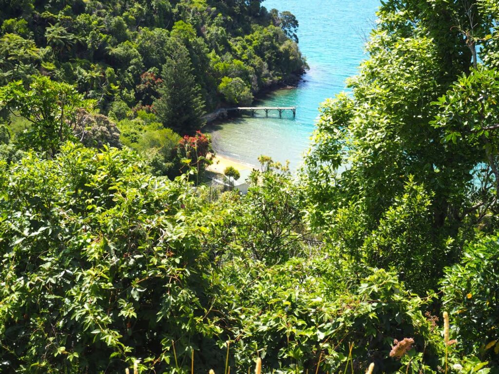 674898ff90ded5bf987b2fee 1590842438 8008